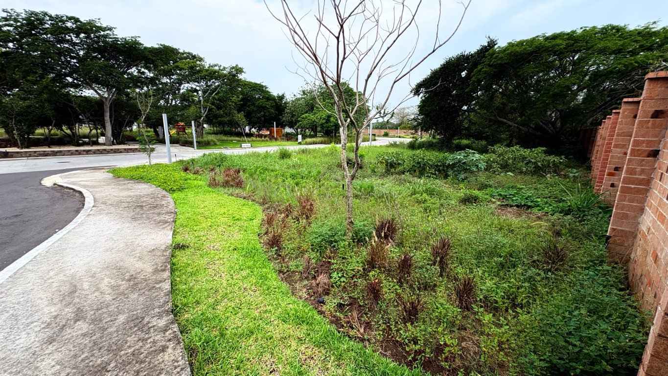 terreno en venta punta bentos punta tiburon alvarado veracruz de ignacio de la llave pSiCDAx